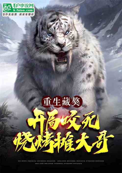 ᣺ſ磡