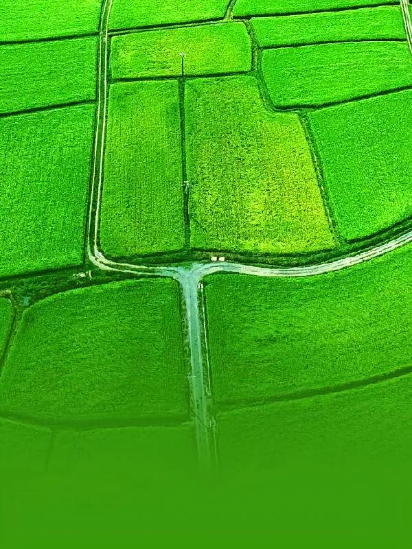 ĩԴ֮